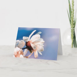 Tarjeta Flor de magnolia de primavera