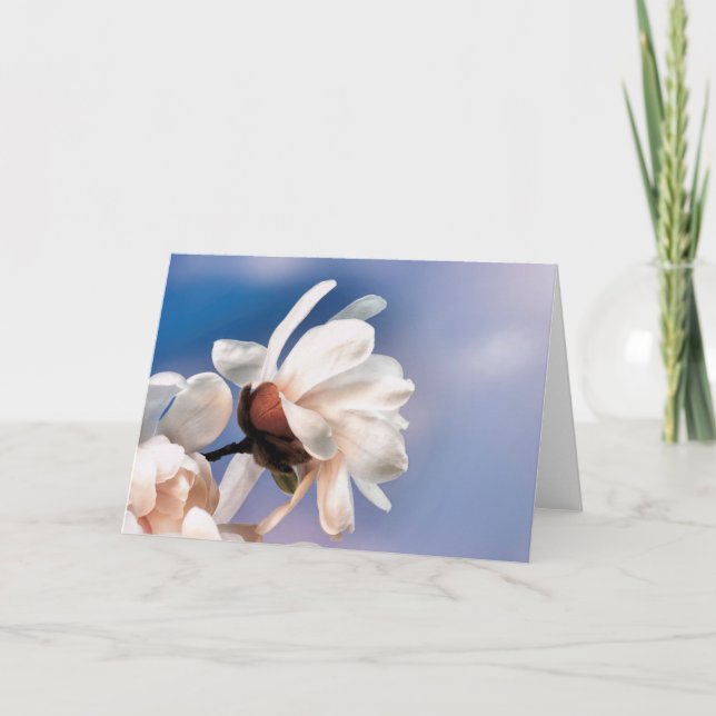 Tarjeta Flor de magnolia de primavera (Anverso)
