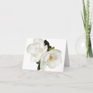 Tarjeta Flor de magnolias blancas Flores florales