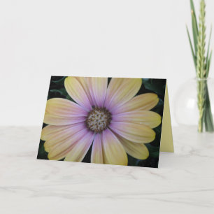 Tarjeta Flor de margarita amarilla y morada se pone bien P