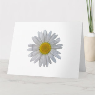 Tarjeta Flor de margarita blanca, margarita floreciente, f