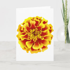 Tarjeta Flor de Marigold