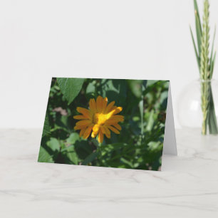 Tarjeta Flor de Marigold de Maceta Naranja (Calendula offi