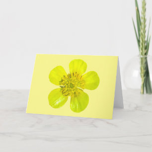 Tarjeta Flor de mariposa vibrante - transparente.