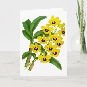 Tarjeta Flor de orquídea amarilla vintage