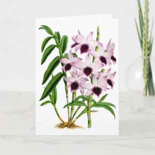Tarjeta Flor de orquídea blanca púrpura veneciana