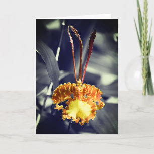 Tarjeta Flor de orquídea de mariposa amarilla