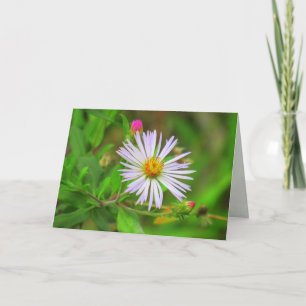 Tarjeta Flor de pantano morado (5064)