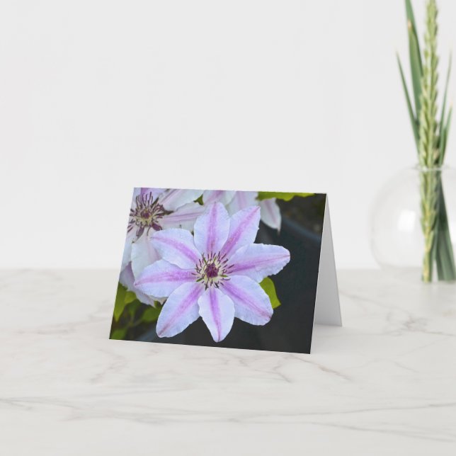 Tarjeta Flor de pasión Notecard (Anverso)