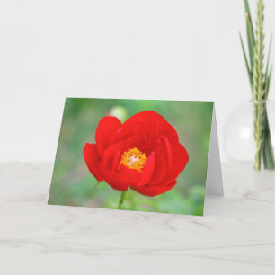 Tarjeta Flor de peones rojos