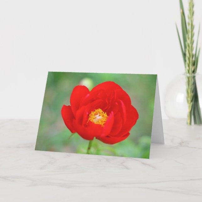 Tarjeta Flor de peones rojos (Anverso)