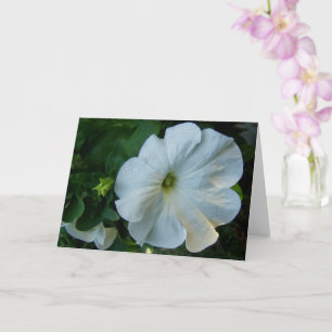 Tarjeta Flor de Petunia blanca