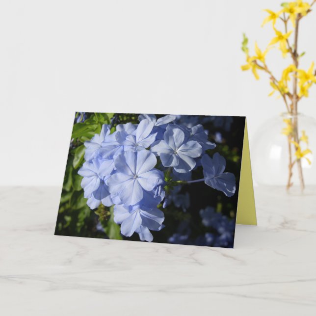 Tarjeta Flor de Plumbago Azul de Hawái (flor amarilla)