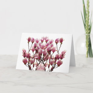 Tarjeta Flor de primavera de Magnolias rosadas en flor