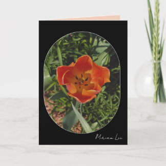 Tarjeta flor de primavera roja