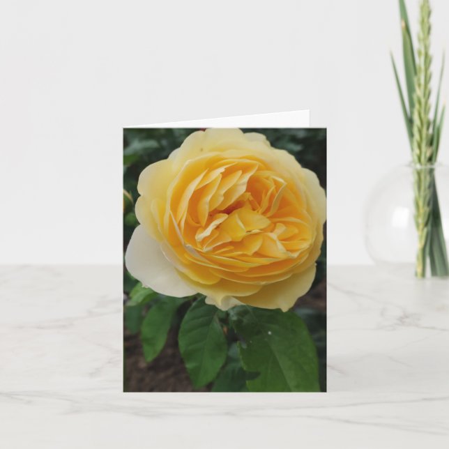 Tarjeta Flor de rosa amarilla (Anverso)