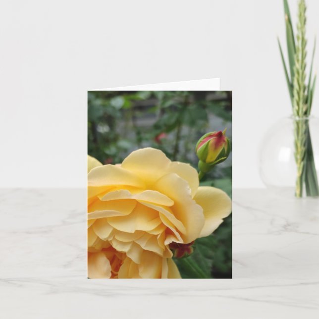 Tarjeta Flor de rosa amarilla (Anverso)