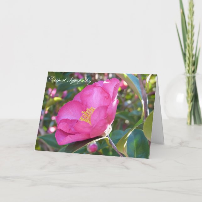 Tarjeta Flor de simpatía (Anverso)