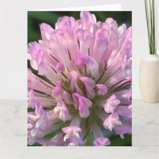 Tarjeta Flor de Trébol Bonita