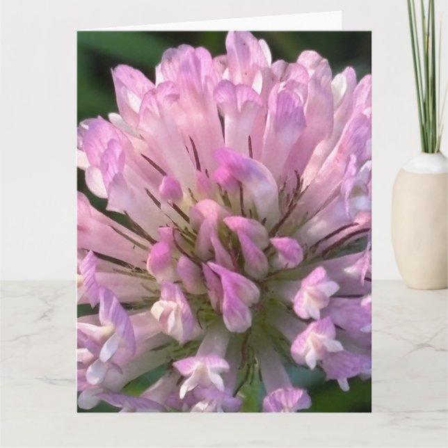 Tarjeta Flor de Trébol Bonita (Anverso)