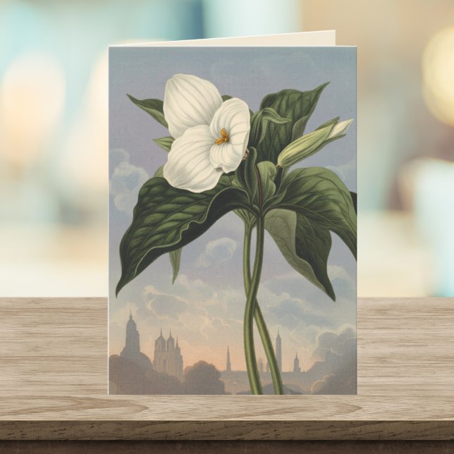 Tarjeta Flor de Trillium Blanca Estilo Templo de Flora en  (Subido por el creador)