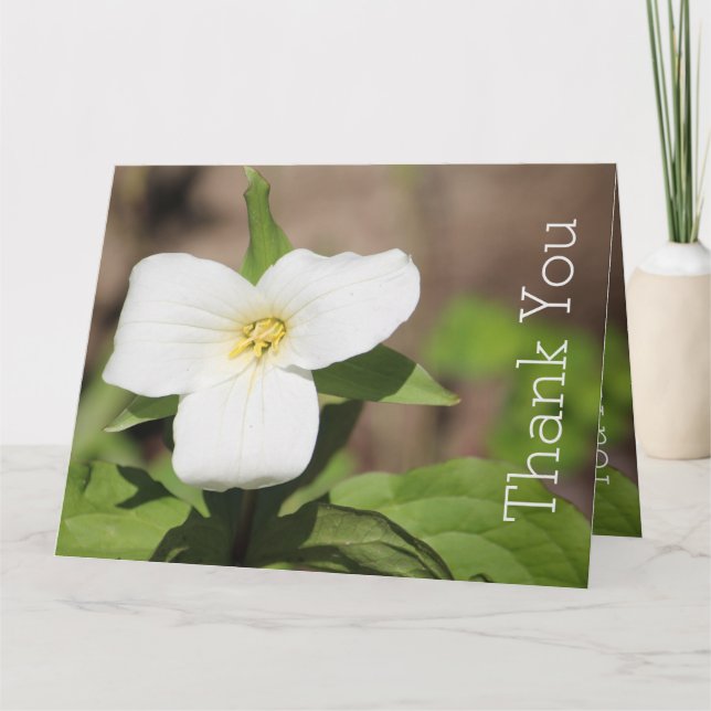 Tarjeta Flor de Trillium Blanca Fotografía (Anverso)
