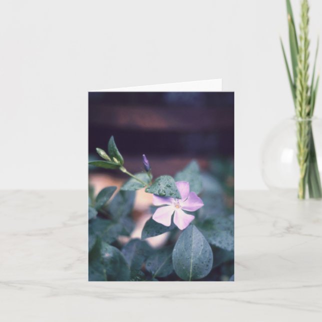 Tarjeta Flor de Vinca Púrpura Notecard (Anverso)