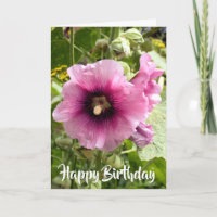 FLOR DEL HOLLYHOCK