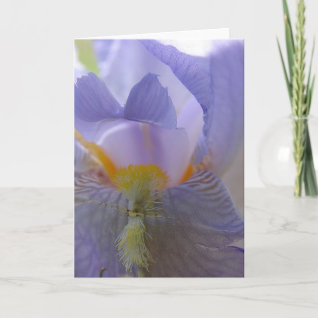 Tarjeta Flor del iris (Anverso)