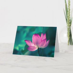 Tarjeta Flor del lirio de agua de Lotus