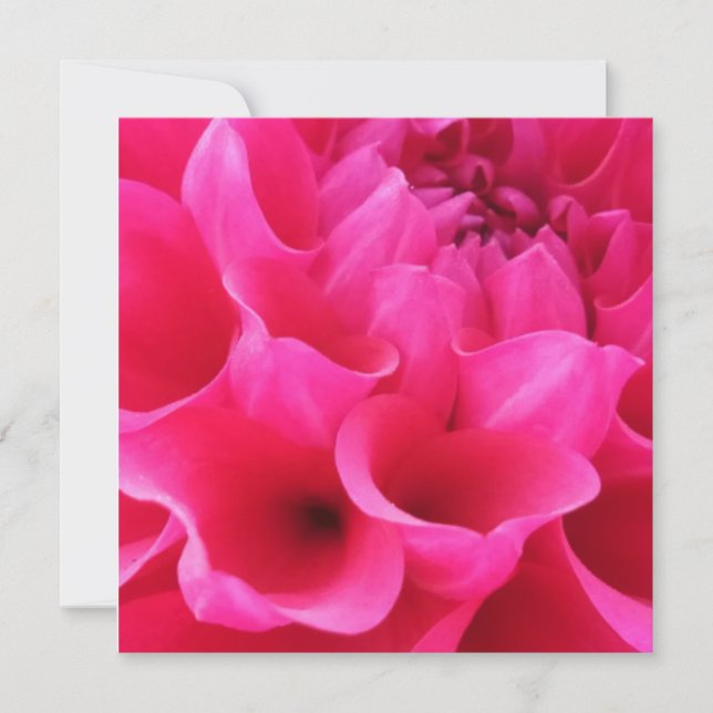 Tarjeta Flor Delilah de cierre macro (Anverso)