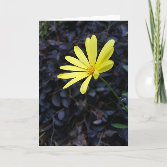 Tarjeta Flor en el festival Notecards (espacio en blanco (Anverso)