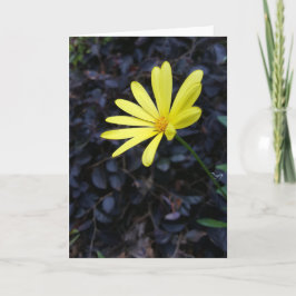 Tarjeta Flor en el festival Notecards (espacio en blanco