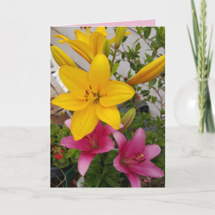 Tarjeta Flor florida colorida de Lily Rosa