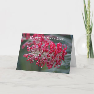 Tarjeta flor grevillea