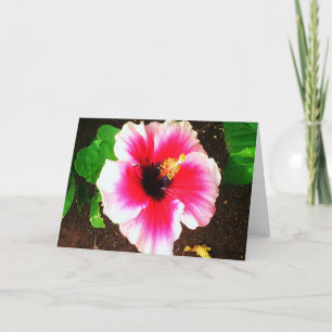 Tarjeta Flor hawaiana hibiscus