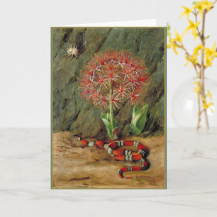 Tarjeta Flor Imperiale Coral Snake y Araña