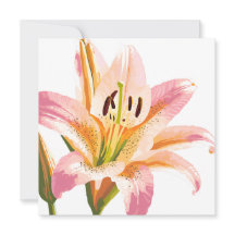 Flor Lirio Rosa | Pintura de acuarela floral