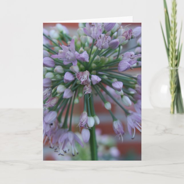 Tarjeta Flor morada (Anverso)