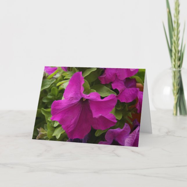 Tarjeta Flor morada (Anverso)