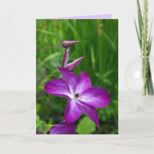 Tarjeta Flor morada