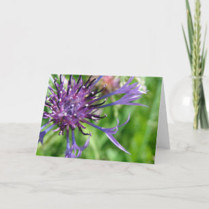 Tarjeta Flor morada