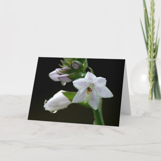 Tarjeta Flor morada (Anverso)