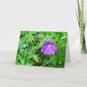 Tarjeta Flor morada en blanco