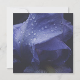 Tarjeta Flor morada Rosa