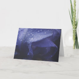 Tarjeta Flor morada Rosa