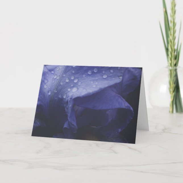 Tarjeta Flor morada Rosa (Anverso)