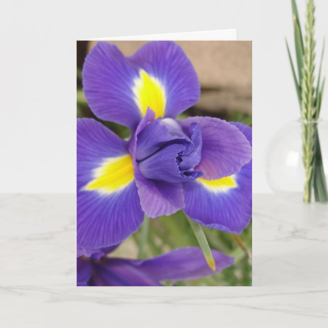 Tarjeta Flor morada y amarilla - Iris (Anverso)