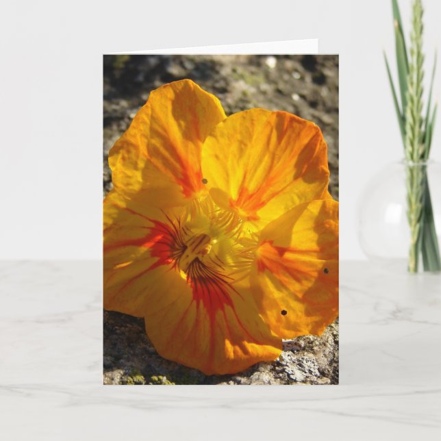 Tarjeta Flor naranja (Anverso)