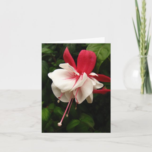 Tarjeta Flor Notecard de Fuschia (Anverso)